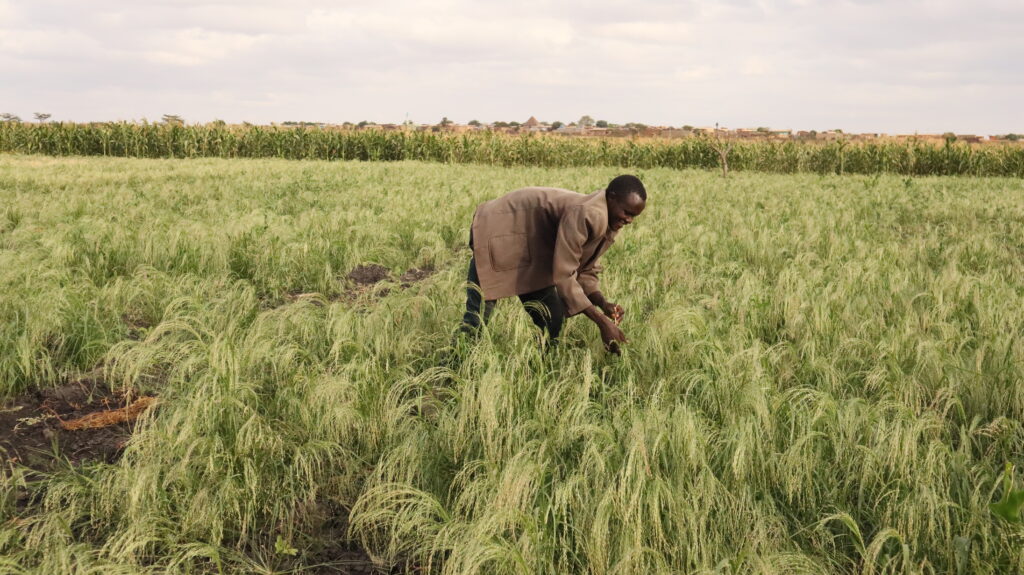 Action for Development - Resilient Livelihoods