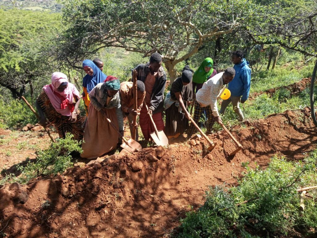 Action for Development - Resilient Livelihoods